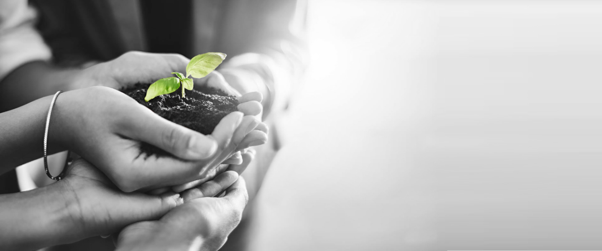 CSR Zodiac Shipping Agency (India) Private Limited